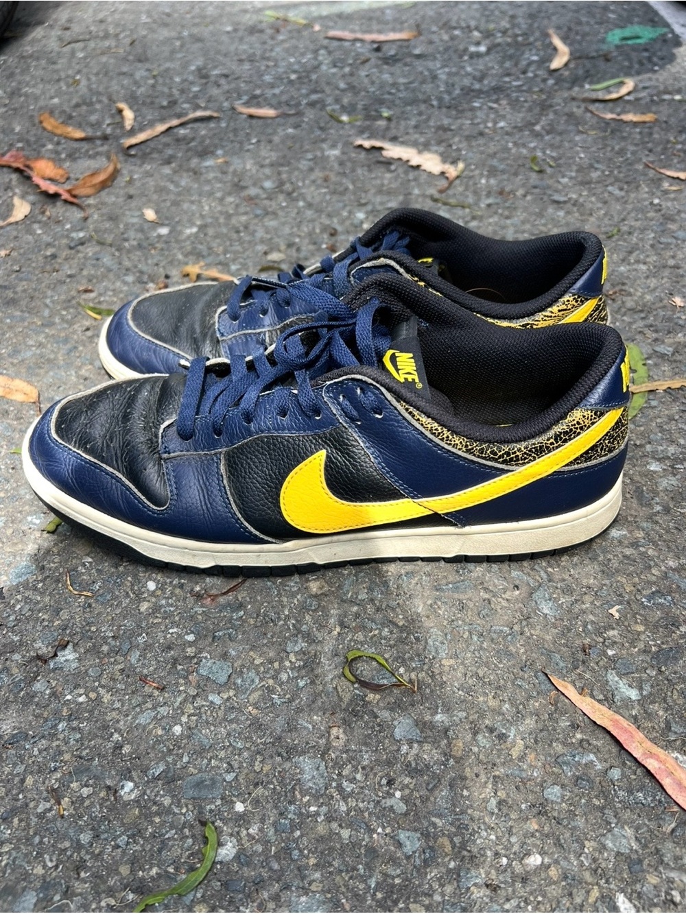 Nike Michigan Dunk Low Shoes Men’s 12.5